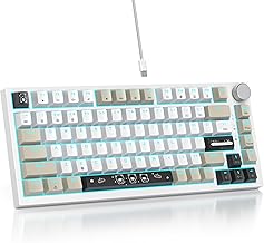 V400 Custom Gaming Keyboard 75 percent Hot-Swappable, 75% Wired Mechanical RGB Keyboard with Gasket and Sound Absorbing Pads Programmable American QWERTY for Mac/Win V400 Heihuibai